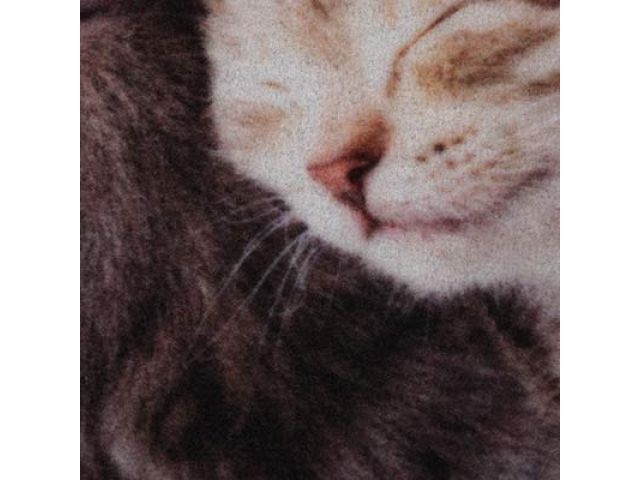 Коврик влаговпитывающий "Samba" 50*80 см. "Милота", котята, "VORTEX"