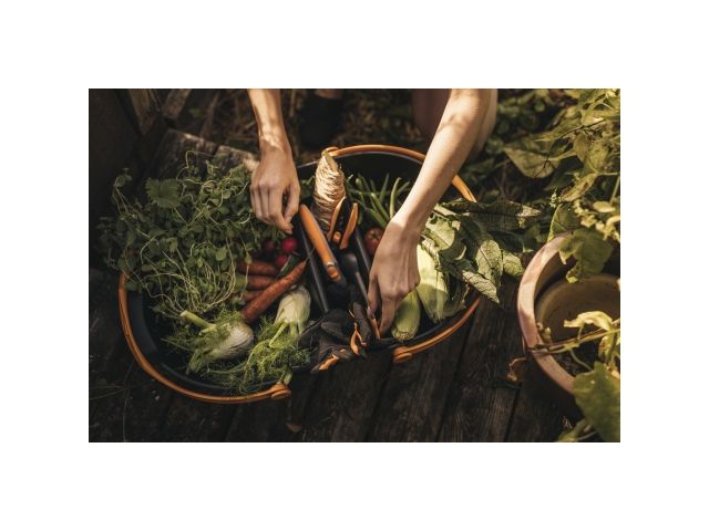 Корзина для урожая Plus FISKARS