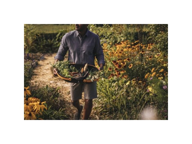 Корзина для урожая Plus FISKARS