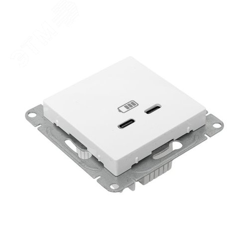 Эпика Механизм розетки USB-C - 2шт белый EKF