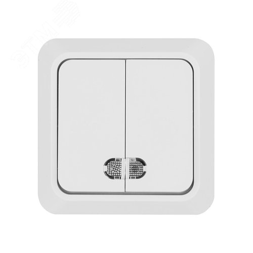 Выключатель двухклавишный открытой установки с подсветкой IP20 10А, белый ''Ладога''