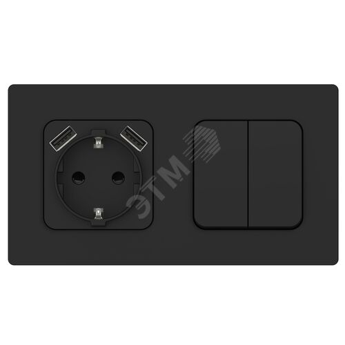 FLITE Розетка 1-местная с заземлением с защитными шторками 16А с USB A+A 3,1А безвинтовое крепление РСЮша11-1-ФлЧ черный