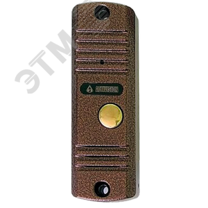 Аудиопанель вызывная двухпроводная с видеомодулем