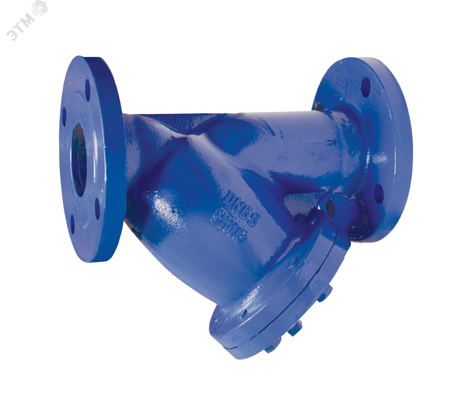 Фильтр сетчатый IS16 чугунный DN300 PN16 со сливной пробкой, фланцевый