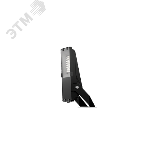 Светильник ДО-08-50-201 FLG 750