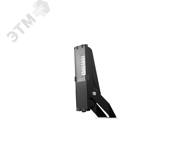 Светильник ДО-08-50-301 FLG 750