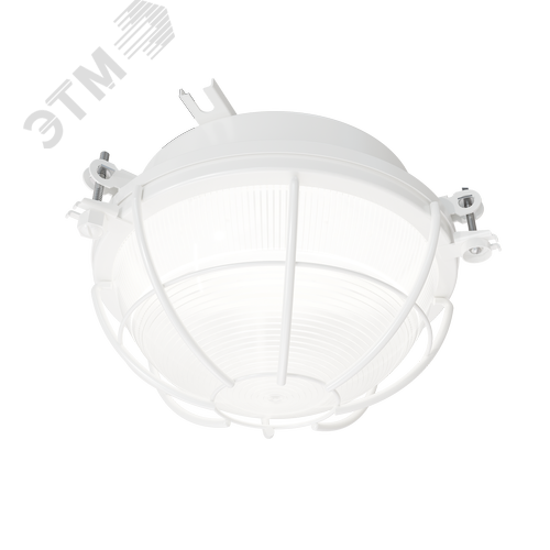 Светильник ДПП-03-13-003 LED с лампой Е27 13 Вт 865 + сетка