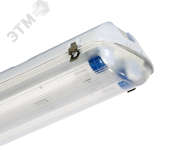 Светильник ДСП-44-2х22-003 Flagman LED с/л Philips 865, IP65
