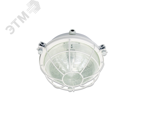 Светильник НПП-03-100-003