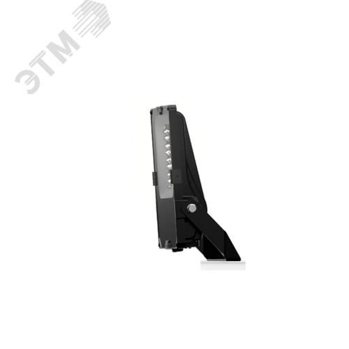 Светильник ДО-08-100-201 FLG 750