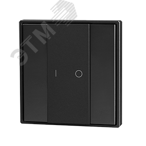 Кнопочная панель 2-х кл. (1 группа), пластиковый корпус, черный