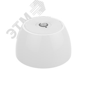 Датчик движения с сенсором освещенности, для накладного монтажа, IP20