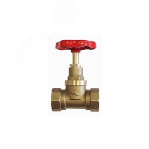 Клапан 15Б1п Ду20 А70 М пар