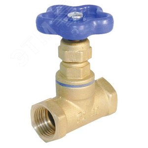 Клапан 15Б3р Ду20 А50 с укороченной строительной длиной