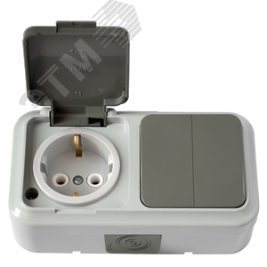 Беларусь Блок выключатель двухклавишный+розетка с заземлением наружный IP54 2В-РЦ-659 (03)