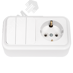 Беларусь Блок: выключатель трехклавишный + розетка с заземлением наружный Пралеска