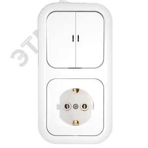 Беларусь Блок выключатель двухклавишный С индикатором+розетка