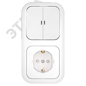 Беларусь Блок скрытый: выключатель двухклавишный с индикатором + розетка