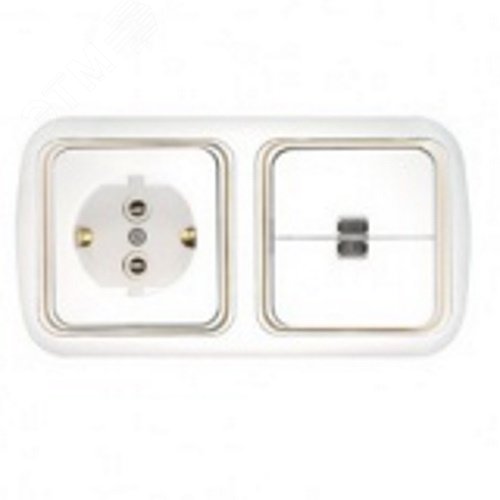 Беларусь блок 2-кл выкл с индик+розетка зк