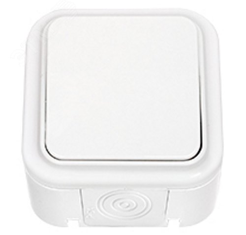 Беларусь Выключатель одноклавишный наружный IP 44 для управления цепями из 2-х и более мест