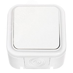 Беларусь Выключатель одноклавишный наружный IP 44 для управления цепями из 2-х и более мест