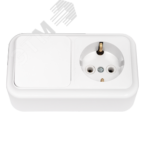 Беларусь Блок: выключатель одноклавишный + розетка с заземлением наружный Пралеска