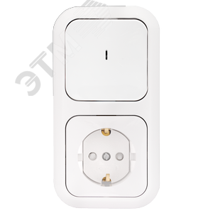 Беларусь Блок скрытый: выключатель одноклавишный с индикацией + розетка