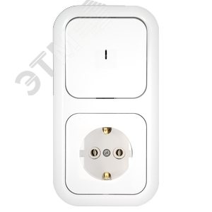 Беларусь Блок 1 кл выкл С индик+розетка эк