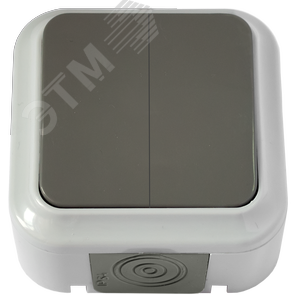 Беларусь Выключатель двухклавишный IP54 наружный А5 6-224 (03)