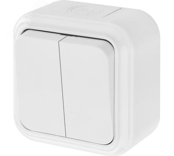 Беларусь Выключатель двухклавишный IP44 наружный