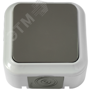 Беларусь Выключатель одноклавишный IP54 наружный