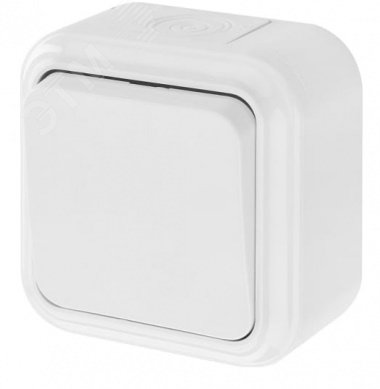 Беларусь Выключатель одноклавишный IP44 наружный