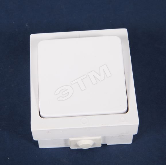 Беларусь Выключатель брызгозащищенный наружный IP44