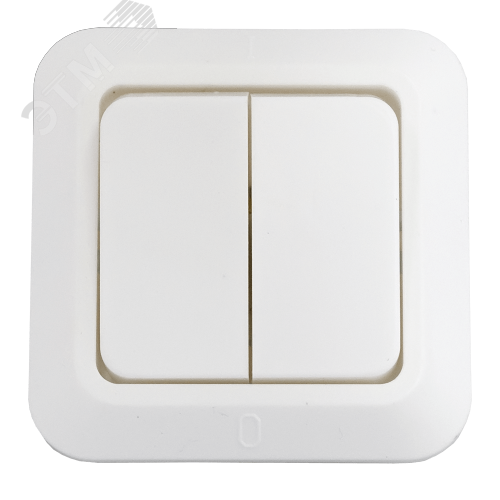 Выключатель двухклавишный скрытый