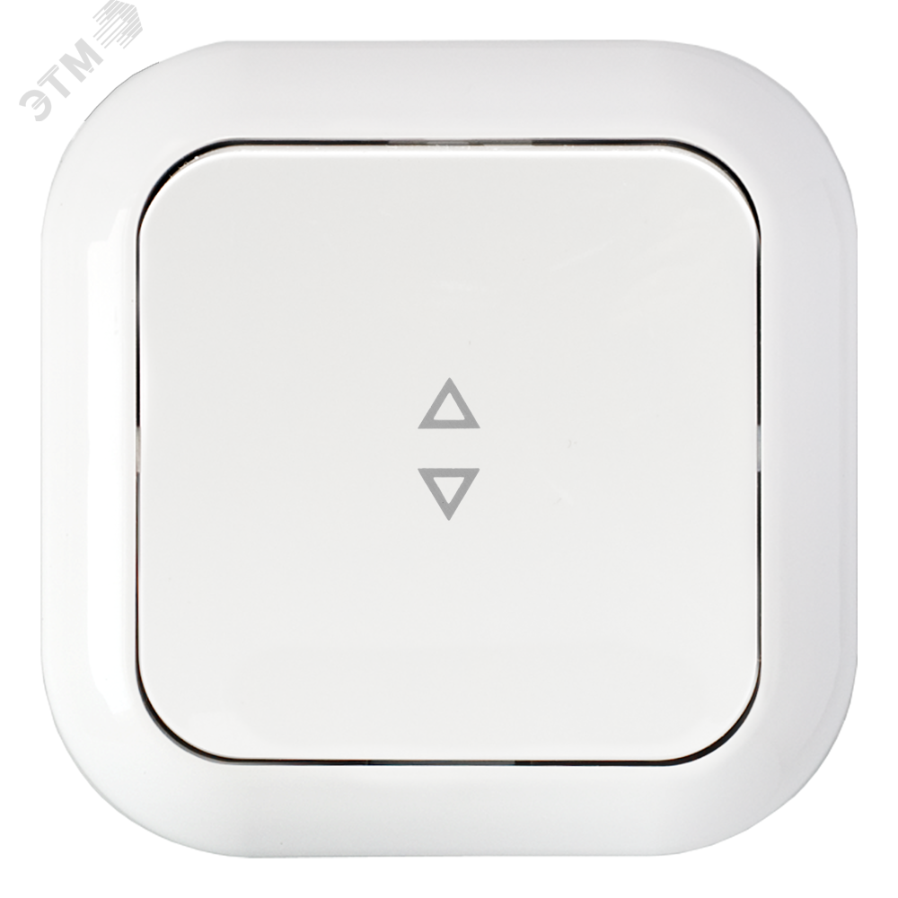 Беларусь Переключатель одноклавишный скрытый