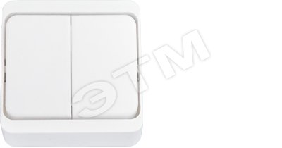 Выключатель двухклавишный наружный