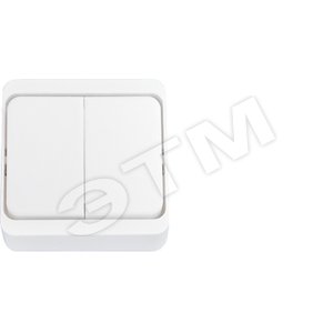 Выключатель двухклавишный наружный