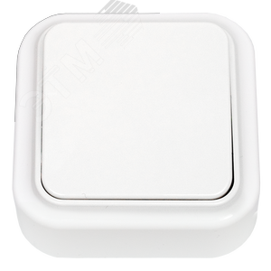 Выключатель одноклавишный наружный Пралеска