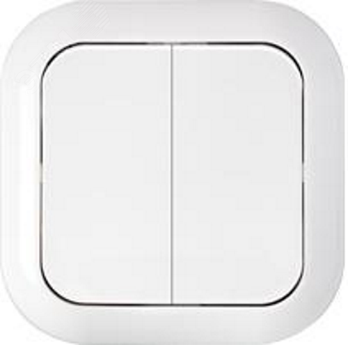 Выключатель двухклавишный скрытой установки