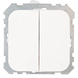 Беларусь Выключатель двухклавишный в рамку С56-476