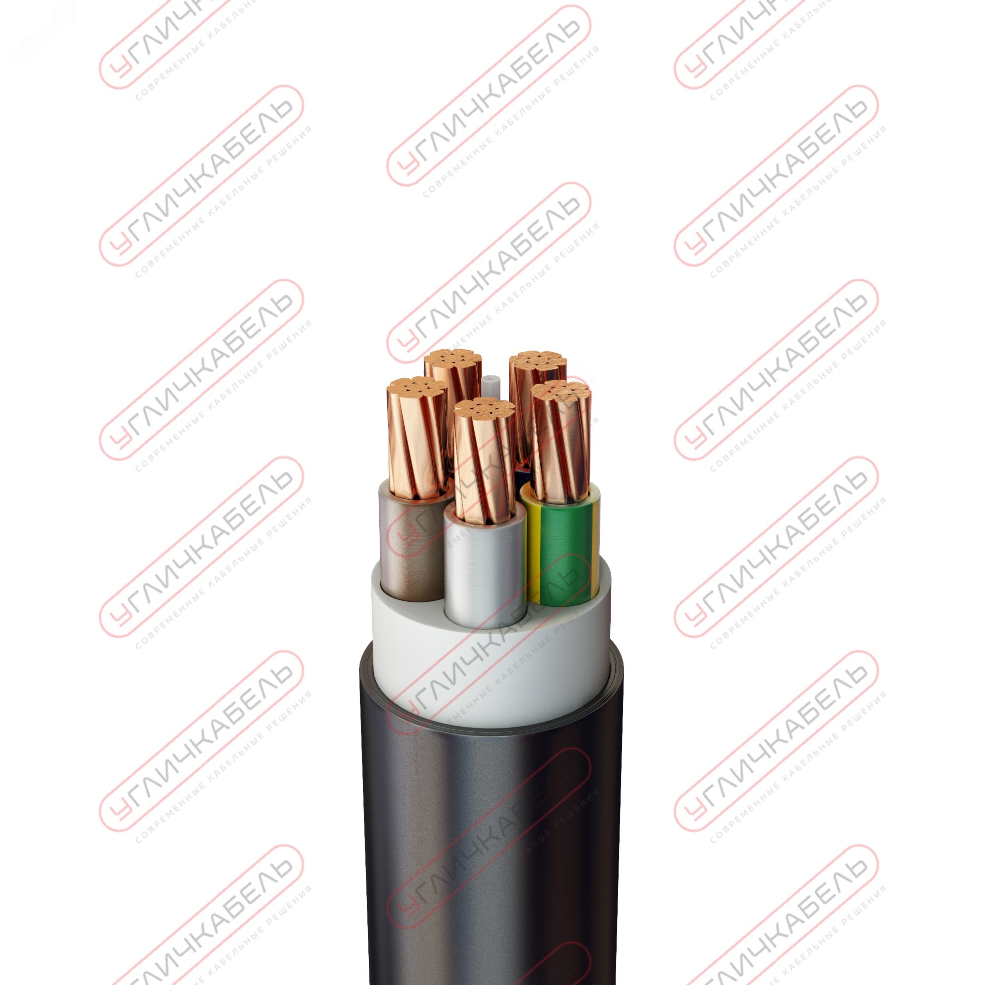 БеларусьКрышка ЮЛИГ301252023