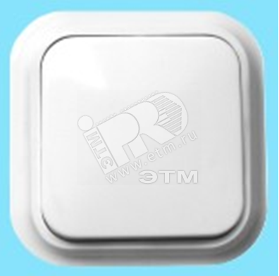 Выключатель одноклавишный скрытой установки