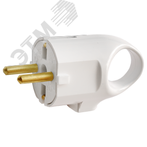 Беларусь Вилка штепсельная с заземлением