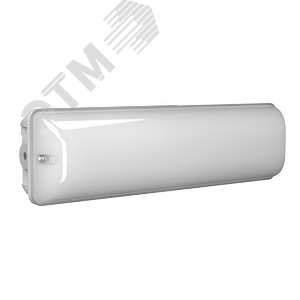 Световой указатель BS-CRUISER-51-S1-INEXI3