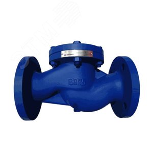 Клапан обратный чугун подъемный Ду 32 Ру16 фланцевый