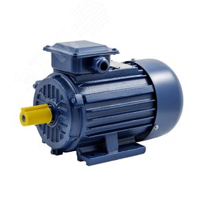 Электродвигатель трехфазный БЭЗ АИР 100L2 IM1081 (5,5кВт/3000 об/мин)