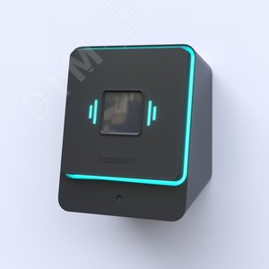 Считыватель бесконтактный вен ладоней PalmJet BOX