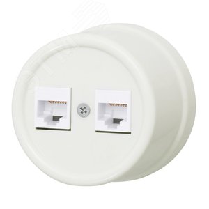 Розетка RJ45 информационная двойная, пластик, цвет Слоновая кость
