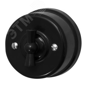 Выключатель 2кл., пластик, цвет Черный