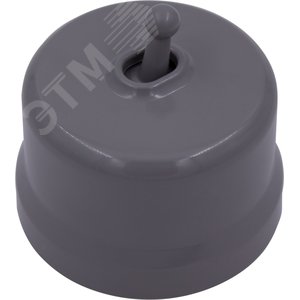 Выключатель Лизетта 2-кл., пластик, цвет Титан (тумблерный)